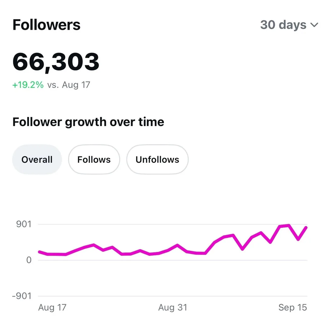 Instagram follower chart showing 66,303 followers, up 19.2% in 30 days